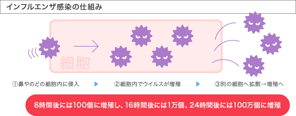 インフルエンザ感染の仕組み